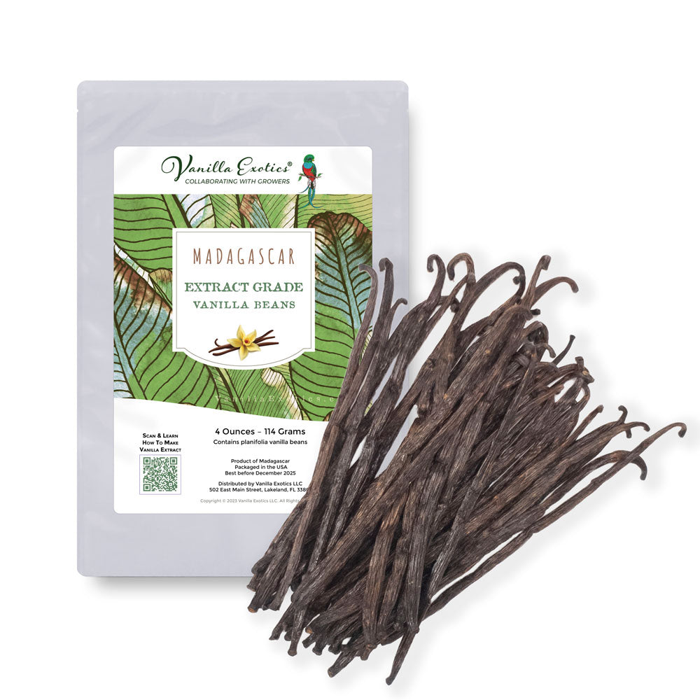 Extract Grade Madagascar Bourbon Vanilla Beans, Sava Region — 1 Pound